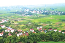 Bộ Tài chính đề xuất quy định và hướng dẫn về việc kéo dài thời hạn miễn thuế sử dụng đất nông nghiệp đến hết ngày 31/12/2030. Ảnh: Lê Tiên