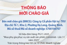 Công ty cổ phần Vật tư - TKV thông báo mời chào giá đơn hàng PG11-2025 