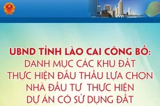 Danh mục các khu đất thực hiện đấu thầu lựa chọn nhà đầu tư thực hiện dự án đầu tư có sử dụng đất trên địa bàn tỉnh Lào Cai