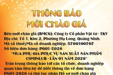 Công ty cổ phần Vật tư - TKV thông báo mời chào giá đơn hàng PG01-2026 