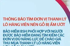 Thông báo tìm đơn vị thanh lý lô hàng viên nén gỗ bị ẩm ướt