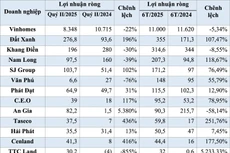Kết quả lợi nhuận quý II và nửa đầu năm 2025 của doanh nghiệp bất động sản. Nguồn: Báo cáo tài chính hợp nhất của doanh nghiệp - Đơn vị tính: tỷ đồng