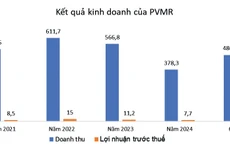 Nguồn: Báo cáo tài chính hợp nhất doanh nghiệp, đơn vị tính: tỷ đồng