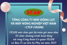 Mời chào giá dự toán gói mua sắm Tổ chức chương trình hoạt động nữ công Công đoàn Cơ quan VEAM và Ban Vì sự tiến bộ Phụ nữ năm 2025 của VEAM