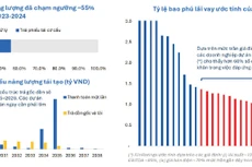 Vì sao hơn 60% dự án điện tái tạo khó trả nợ?