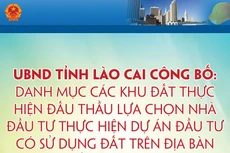 Danh mục các khu đất thực hiện đấu thầu lựa chọn nhà đầu tư thực hiện dự án đầu tư có sử dụng đất trên địa bàn tỉnh Lào Cai