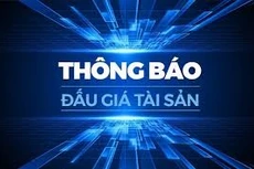 Ngày 05/03/2026, đấu giá tài sản kê biên của Thi hành án dân sự tỉnh Ninh Bình