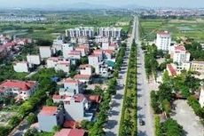 Ngày 29/12/2025, đấu giá quyền sử dụng đất và tài sản gắn liền trên đất tại xã Quang Minh, TP. Hà Nội