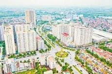 Ngày 25/12/2025, đấu giá quyền sử dụng đất tại xã Mỹ Thái, tỉnh Bắc Ninh