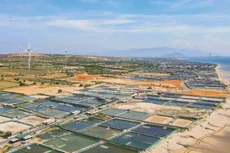 Dự kiến kinh phí bồi thường, giải phóng mặt bằng tại Dự án Nhà máy Điện hạt nhân Ninh Thuận 1 là hơn 5.280 tỷ đồng. Ảnh: Huỳnh Hải