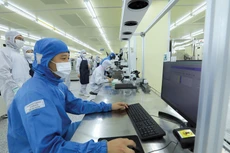 Nghị định số 214/2025/NĐ-CP quy định cụ thể các ưu đãi đối với nhà thầu trong nước là cá nhân, doanh nghiệp khởi nghiệp sáng tạo; ưu đãi đối với sản phẩm đổi mới sáng tạo, sản phẩm công nghệ cao. Ảnh: Lê Tiên