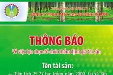 Công ty TNHH MTV Cao su Bình Phước thông báo về việc lựa chọn tổ chức thẩm định giá tài sản