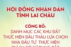 Danh mục các khu đất thực hiện đấu thầu lựa chọn nhà đầu tư thực hiện dự án đầu tư có sử dụng đất trên địa bàn tỉnh Lai Châu