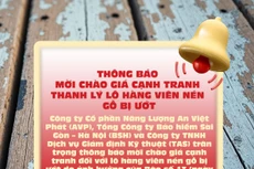 Mời chào giá cạnh tranh thanh lý lô hàng viên nén gỗ bị ướt