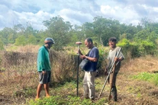 Cắm mốc giới, đo đạc kiểm kê phục vụ công tác bồi thường giải phóng mặt bằng Dự án Vành đai 4 TP.HCM đoạn Tóc Tiên - Châu Pha - Châu Đức. Ảnh: Ngọc Tuấn