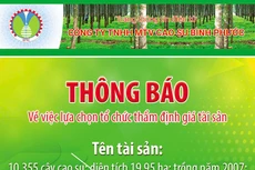 Công ty TNHH MTV Cao su Bình Phước thông báo về việc lựa chọn tổ chức thẩm định giá tài sản