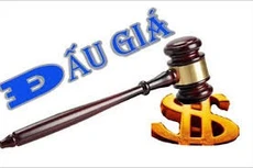 Ngày 25/12/2025, đấu giá khoản nợ Công ty TNHH Thương mại Đầu tư Phước Huỳnh tại Agribank Chi nhánh KCN Sóng Thần