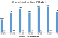 Nguồn: Báo cáo tài chính doanh nghiệp. Đơn vị tính: Tỷ đồng