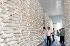 Dự thảo Luật Dự trữ quốc gia (sửa đổi) quy định chung về các phương thức và giao Chính phủ quy định thẩm quyền, trình tự mua, bán hàng dự trữ quốc gia... Ảnh: Khánh Linh