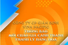 Thông báo mời chào giá cạnh tranh thanh lý hàng hóa tại Công ty TNHH TM XD DV Hoàng Nam Nha Trang