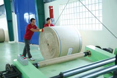 Trong 11 tháng năm 2025, có 177.993 doanh nghiệp thành lập mới, tăng 20,9% so với cùng kỳ năm 2024. Ảnh: Tiên Giang