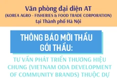 THÔNG BÁO MỜI THẦU