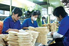 Tính đến cuối năm 2024, tổng tài sản của Giầy Thượng Đình là 120,3 tỷ đồng, trong đó nợ phải trả là 94 tỷ đồng. Ảnh: Tiên Giang