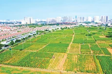 Các địa phương đang xem đấu giá đất không chỉ là nguồn thu ngân sách, mà còn là công cụ thúc đẩy giải ngân vốn đầu tư công, huy động nguồn lực xã hội và phát triển đô thị. Ảnh minh họa: Tiên Giang