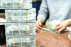 Dự thảo Nghị định phân cấp cho Bộ Tài chính quyết định sửa đổi, bổ sung thỏa thuận vay nhân danh Chính phủ trong trường hợp việc sửa đổi không làm tăng nghĩa vụ trả nợ nước ngoài của Chính phủ. Ảnh: Song Lê 