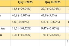 Sản lượng điện các quý năm 2025 và chênh lệch so với cùng kỳ năm 2024. Nguồn: Báo cáo của Tập đoàn Điện lực Việt Nam (EVN) - đơn vị tính: tỷ kWh