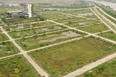 Ngày 10/02/2026, đấu giá quyền sử dụng đất tại xã Hải Anh, tỉnh Ninh Bình