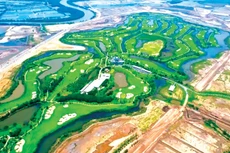 Khu đất đấu giá thực hiện Dự án nhà ở thương mại tại đảo Vũ Yên có quy mô 47,28 ha, chiếm gần 1/3 tổng diện tích kế hoạch đấu giá năm 2026 của TP. Hải Phòng. Ảnh: Trần Sơn