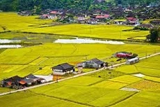 Ngày 29/12/2025, đấu giá quyền sử dụng đất tại xã Lục Ngạn, tỉnh Bắc Ninh