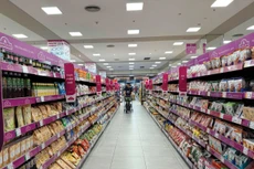 Dữ liệu về quy mô, lao động và kết quả sản xuất kinh doanh của các cơ sở kinh tế là cơ sở để biên soạn chính xác chỉ tiêu tổng sản phẩm trên địa bàn. Minh họa: Thu Huyền