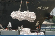 Hoạt động xuất khẩu gạo được đề xuất loại khỏi Danh mục Ngành, nghề đầu tư kinh doanh có điều kiện tại Dự thảo Luật Đầu tư kinh doanh (thay thế Luật Đầu tư). Ảnh: Song Lê