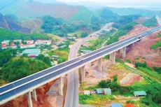 CC1 đang nghiên cứu các giải pháp xây dựng cầu cạn cho vùng Đồng bằng sông Cửu Long phù hợp với điều kiện địa hình - địa chất từng khu vực. Ảnh: Đông Giang