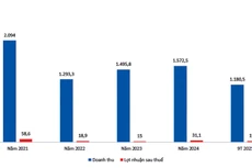 Kết quả kinh doanh của CTIN - Nguồn: Báo cáo tài chính của CTIN, đơn vị tính: tỷ đồng