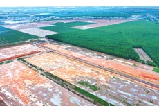 Nhiều nội dung sửa đổi về pháp luật xây dựng và đất đai được kỳ vọng tháo gỡ khó khăn, góp phần đẩy nhanh tiến độ triển khai các dự án đầu tư xây dựng. Ảnh: Lê Tiên