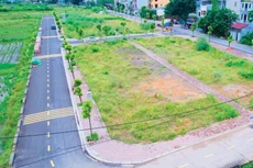 57 thửa đất tại khu vực Đầm, thôn Mục Xá, xã Cao Dương, huyện Thanh Oai (cũ), TP. Hà Nội từng được thông báo đấu giá năm 2024. Ảnh minh họa: Hồng Khanh