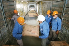 Tổng sản lượng tiêu thụ trong nước toàn ngành xi măng năm 2025 ước đạt 75 triệu tấn, tăng 14 - 15% so với năm 2024. Ảnh: Song Lê 