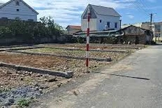 Ngày 07/01/2026, đấu giá quyền sử dụng đất tại xã Hợp Thịnh, tỉnh Bắc Ninh