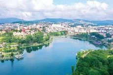 Ngày 27/02/2026, đấu giá quyền sử dụng đất tại Phường 2 Bảo Lộc, tỉnh Lâm Đồng