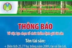 Công ty TNHH MTV Cao su Bình Phước thông báo về việc lựa chọn tổ chức thẩm định giá tài sản