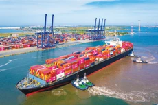 Sản xuất công nghiệp, xuất khẩu, tiêu dùng nội địa và đầu tư công tiếp tục là động lực dẫn dắt tăng trưởng nửa cuối năm 2025. Ảnh: Lê Tiên