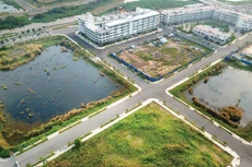 Dự thảo Nghị quyết quy định trường hợp đấu giá quyền sử dụng đất để giao đất ở cho cá nhân, để thực hiện dự án đầu tư thì tiền đặt trước tối thiểu là 20% và tối đa là 50% giá khởi điểm . Ảnh: Tiên Giang