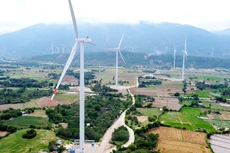 Việt Nam có nhiều tiềm năng sản xuất điện tái tạo nhằm đáp ứng nhu cầu phát triển kinh tế trong giai đoạn tới. Ảnh minh họa: Tiên Giang