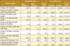 Kết quả kinh doanh của một số doanh nghiệp BĐS nhà ở. (Nguồn: Báo cáo tài chính quý III/2025 của doanh nghiệp, đơn vị tính: tỷ đồng)