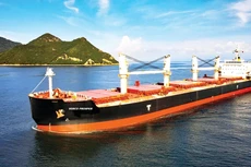 Công ty CP Vận tải biển Việt Nam (VOSCO) được thành lập năm 1970, hoạt động kinh doanh chính trong lĩnh vực vận tải biển. Ảnh: Minh Huế