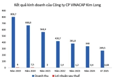 Nguồn: Báo cáo tài chính doanh nghiệp, đơn vị tính: tỷ đồng