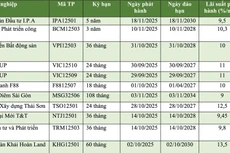 Kết quả phát hành trái phiếu của một số doanh nghiệp gần đây. Nguồn: HNX
